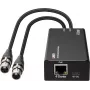 LINDY 2-kanavainen XLR-audio-Dante-encoder, PoE, AES67, 24-bittinen/96kHz 70618
