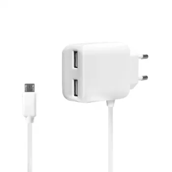 LogiLink Universal Wall USB -laturi - virtalähde - 2,1 A - 2 lähtöliitäntää (USB)