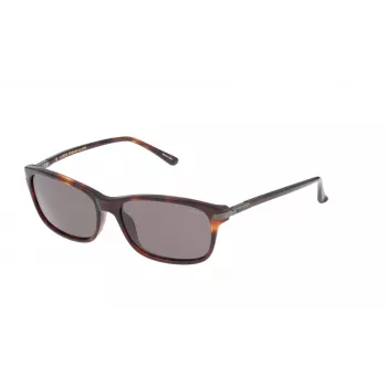 LOZZA SL4029M564APP unisex-aurinkolasit - 56/16/140 mm - UV400-suoja