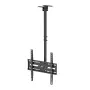 MACLEAN MC-175 kattoteline 37–75 tuuman televisioille, 50 kg, VESA 400x400, musta