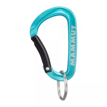 Mammut Mini Carabiner Classic Keylock S - hopea/harmaa