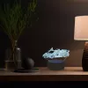 Manta SNL64RGB LED-valo valaistus koriste auto 3D RGB