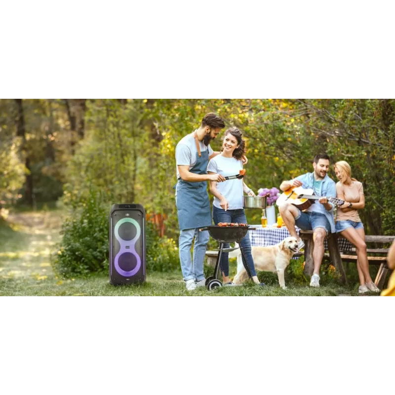 Manta SPK0805B140 Pallas kannettava Bluetooth-kaiutin, 15W, musta