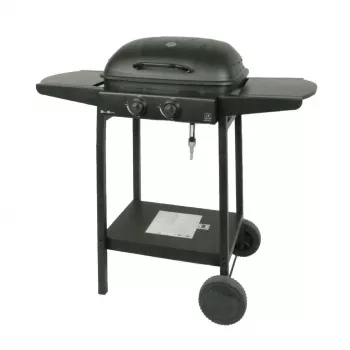MASTER GRILL Master kaasugrilli 2-polttimella MG672