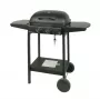MASTER GRILL Master kaasugrilli 2-polttimella MG672