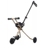 Micro Trike Deluxe työnnettävä kolmipyörä 18 kuukauden–5-vuotiaille