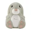 Momini kompressorisumutin NebuBunny