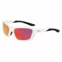Nike lasten aurinkolasit NKFV2401-100 valkoinen smoke grey 54/17/130 mm