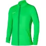 Nike Dri-FIT Academy 23 miesten collegepaita Gorge Green L