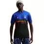 Nike Inter Milan 2025/2026 Stadium Special Edition miesten jalkapallopaita musta/sininen IM6998 413 koko L
