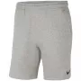 Nike Park 20 miesten shortsit Dark Grey Heather XL