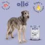 OLLO Plus Collagen Mono Lamb märkäruoka koirille 800g