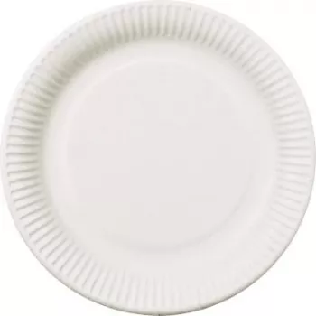 PAPSTAR pure kertakäyttölautanen pyöreä 26 cm ekstra vahva valkoinen sokeriruoko-bagassi 50 kpl 11176