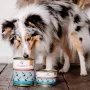 PERRO naudanliha persiljajuurella märkäruoka koirille 850g
