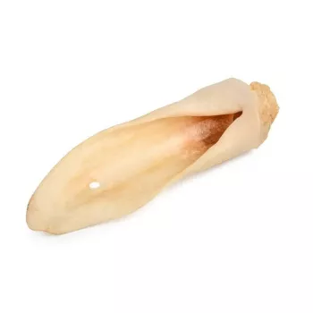 PETMEX Chew Lamb Ear White Dog Treat 10 kpl