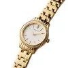 Pierre Cardin naisten analoginen kvartsikello CF.0607.SE.G (30 mm)