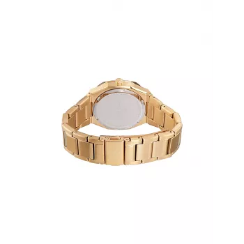 Pierre Cardin naisten kvartsi-analogikello CF.1008.MG.2 32 mm hopea teräs mesh -ranneke