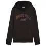 PUMA Essentials+ Logo LAB miesten fleece-huppupusero musta koko M