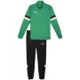 PUMA miesten Team Rise verryttelyasu Forest Night / Puma Black koko M
