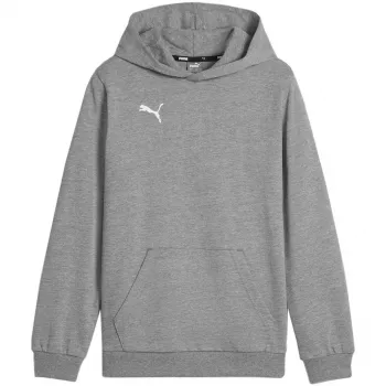 Puma Team Goal Casuals huppari collegepaita harmaa 658619 33 140cm