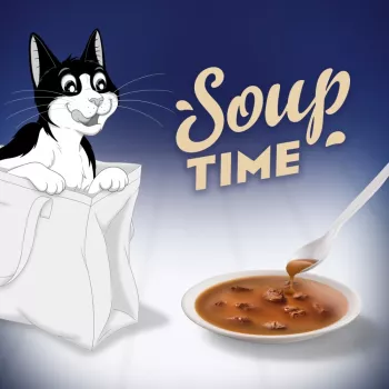 PURINA FELIX Soup ORIGINAL kalaisat maut 6x48g
