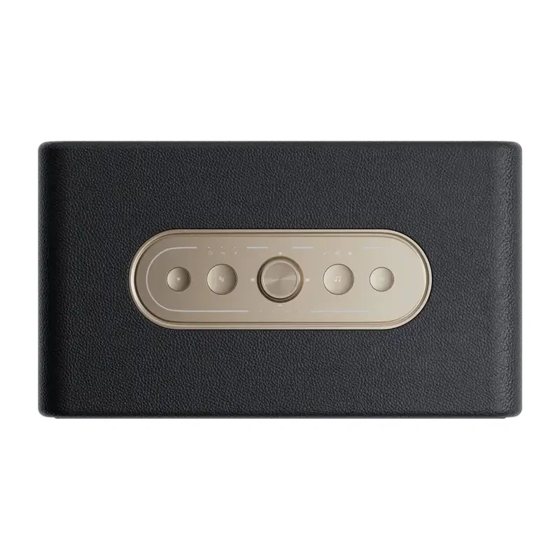 QCY SP300 -langaton kaiutin (musta)