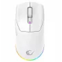 Rampage Prote M5 24000 DPI RGB LED 1kHz valkoinen pelihiiri