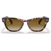 Ray-Ban Frank Square aurinkolasit RB2201 133451 54/17/145 mm
