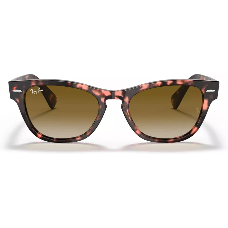 Ray-Ban Frank Square aurinkolasit RB2201 133451 54/17/145 mm