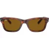 Ray-Ban Frank unisex-aurinkolasit RB22839543355 Havana ruskea 52mm