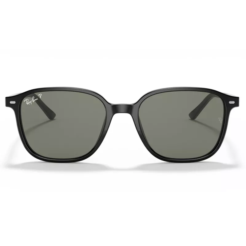 Ray-Ban RB2193 Frank aurinkolasit 53/18/145 mm musta vihreä polarisoitu
