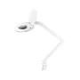 REBEL tarkastusvalaisin suurennuslasilla 5D 8W (60 SMD) - valkoinen