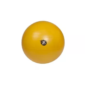 REHA FUND PILO-1045 kuntopallo ABS 65 cm hopea/harmaa
