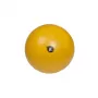 REHA FUND PILO-1045 kuntopallo ABS 65 cm hopea/harmaa