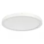 RIDI SARA290 Saneeraus-downlight D=290mm 830/840