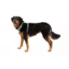 Ruffwear Front Range valjaat XS - River Rock Green