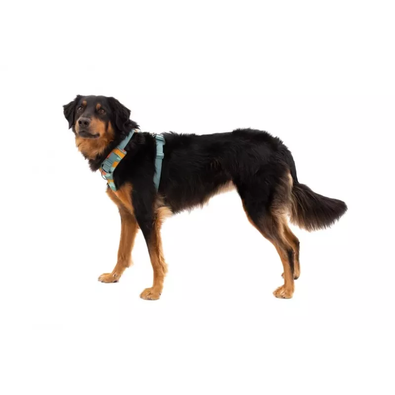 Ruffwear Front Range valjaat XS - River Rock Green