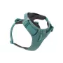 Ruffwear Front Range valjaat XS - River Rock Green