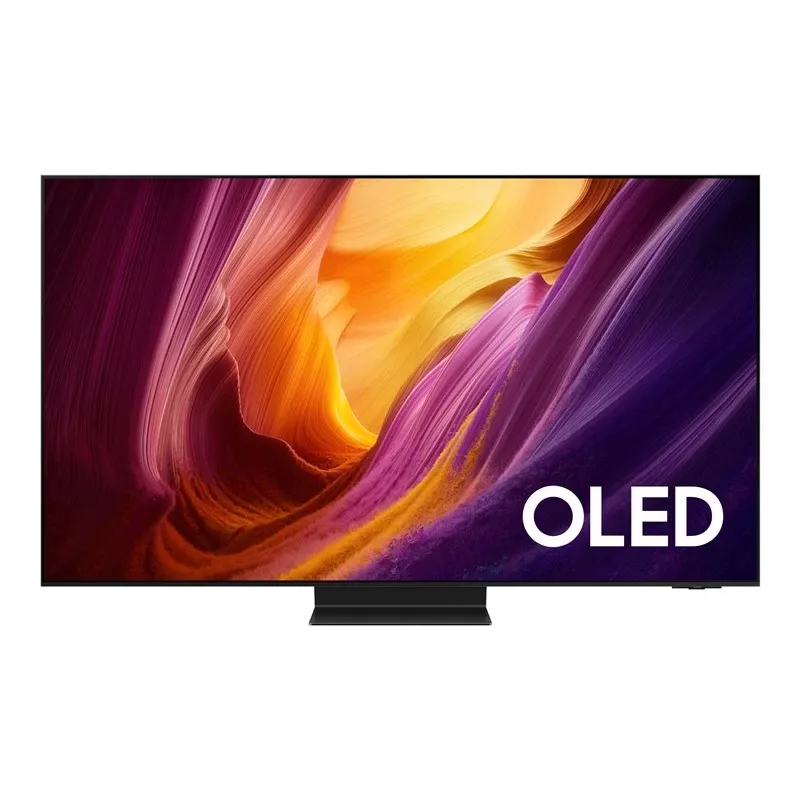 Samsung QE77S95HFTXXH 77