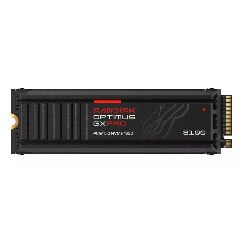 SanDisk Professional 1TB M.2 NVMe PCI Express 5.0 sisäinen SSD (SDSP82100TAH-000E0)