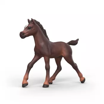 Schleich Horse Club keräilyvarsa Ravi