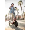 Segway Ninebot eKickscooter D38E musta punainen