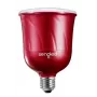 Sengled Pulse Master punainen