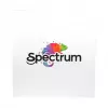 Spectrum PLA Premium 3D-filamentti 1,75 mm Silver Star 1 kg