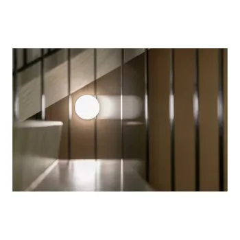 Steinel RS PRO R30 BASIC SC WW sisävalaisin