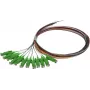 SYNERGY21 S215560 kuitu-verkkokaapelisarja 2 m OS2 E-2000 (LSH) monivärinen 12 kpl:n pakkaus