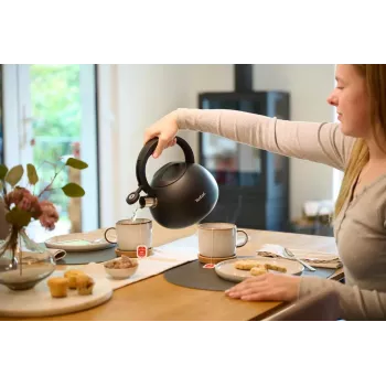 Tefal N4180410 Express Control vedenkeitin ruostumatonta terästä, 2,5 L, induktio, hopea/musta
