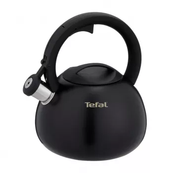Tefal N4180410 Express Control vedenkeitin ruostumatonta terästä, 2,5 L, induktio, hopea/musta