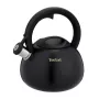 Tefal N4180410 Express Control vedenkeitin ruostumatonta terästä, 2,5 L, induktio, hopea/musta