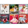 Trefl Palapeli 200 Happy Dogs